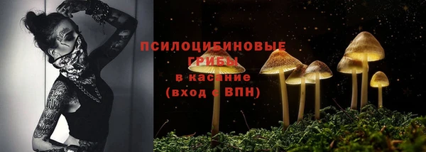 герыч Алзамай
