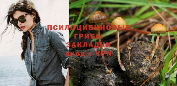 амфетамин Алексин