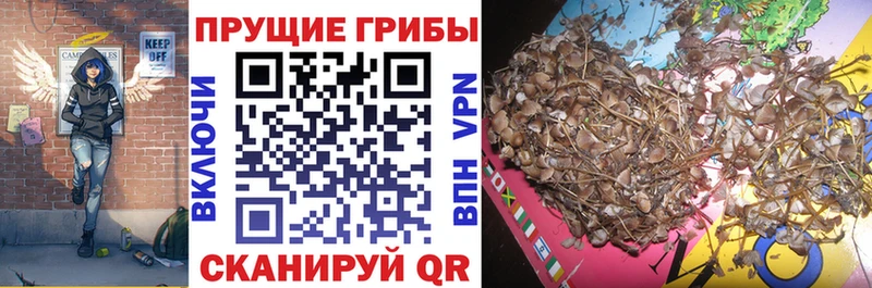 Галлюциногенные грибы мухоморы  Льгов 